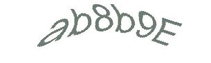 عبارت امنیتی