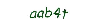 عبارت امنیتی