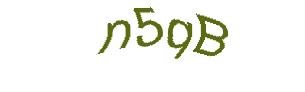 عبارت امنیتی