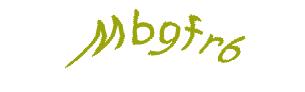 عبارت امنیتی