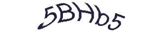 عبارت امنیتی
