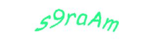 عبارت امنیتی