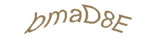 عبارت امنیتی