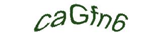 عبارت امنیتی