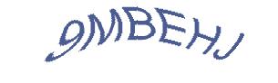عبارت امنیتی