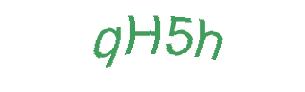 عبارت امنیتی