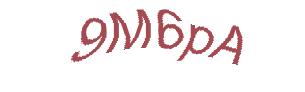 عبارت امنیتی