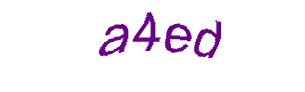 عبارت امنیتی