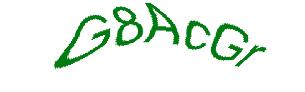 عبارت امنیتی