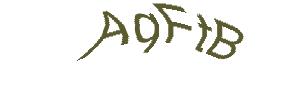 عبارت امنیتی