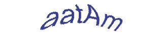 عبارت امنیتی