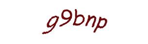 عبارت امنیتی