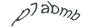 عبارت امنیتی