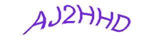عبارت امنیتی