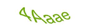 عبارت امنیتی