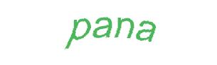 عبارت امنیتی