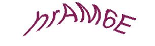 عبارت امنیتی