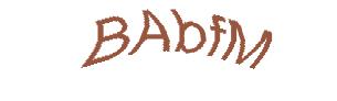 عبارت امنیتی