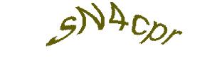 عبارت امنیتی