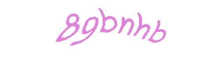 عبارت امنیتی