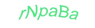 عبارت امنیتی