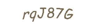 عبارت امنیتی