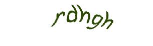 عبارت امنیتی