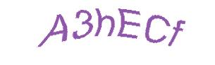 عبارت امنیتی