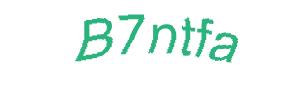 عبارت امنیتی