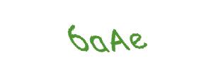 عبارت امنیتی