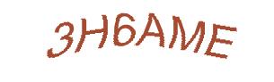 عبارت امنیتی