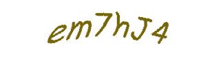عبارت امنیتی