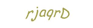 عبارت امنیتی