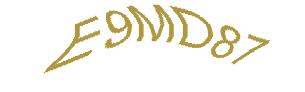 عبارت امنیتی