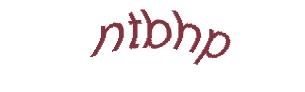 عبارت امنیتی