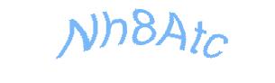عبارت امنیتی