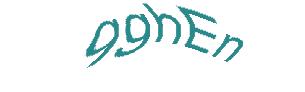 عبارت امنیتی