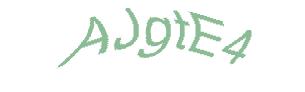 عبارت امنیتی