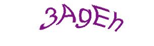 عبارت امنیتی