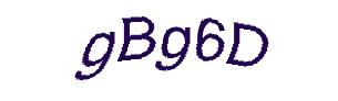 عبارت امنیتی