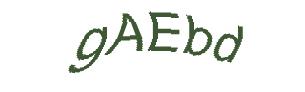 عبارت امنیتی