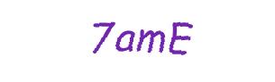 عبارت امنیتی