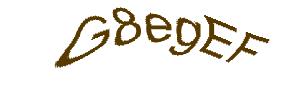 عبارت امنیتی