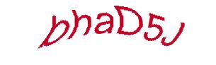 عبارت امنیتی