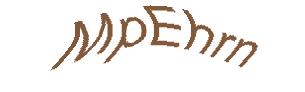 عبارت امنیتی