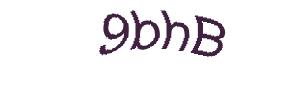 عبارت امنیتی