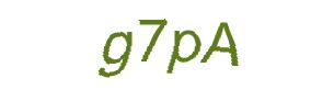 عبارت امنیتی