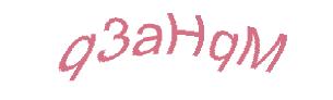 عبارت امنیتی