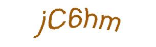 عبارت امنیتی