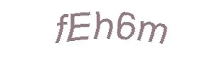 عبارت امنیتی